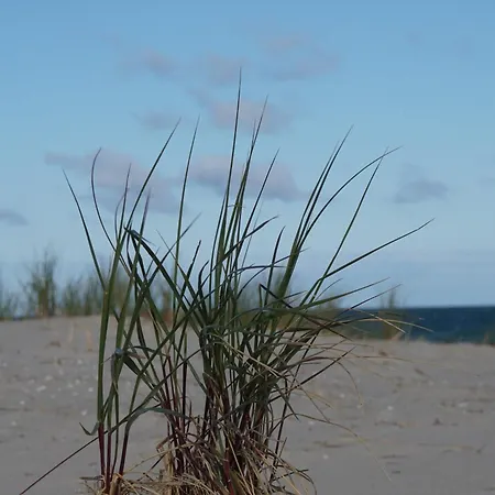 Appartamento In 18107 Elmenhorst Kurz Vor Warnemuende