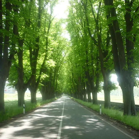 アパート In 18107 Elmenhorst Kurz Vor Warnemuende